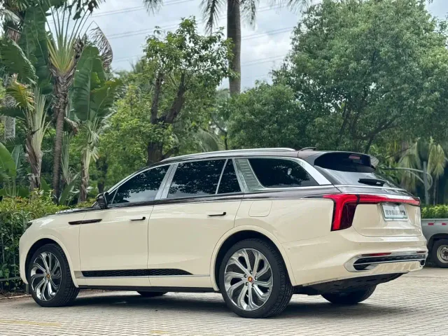 Hongqi E-HS9 — Фото автомобиля 18