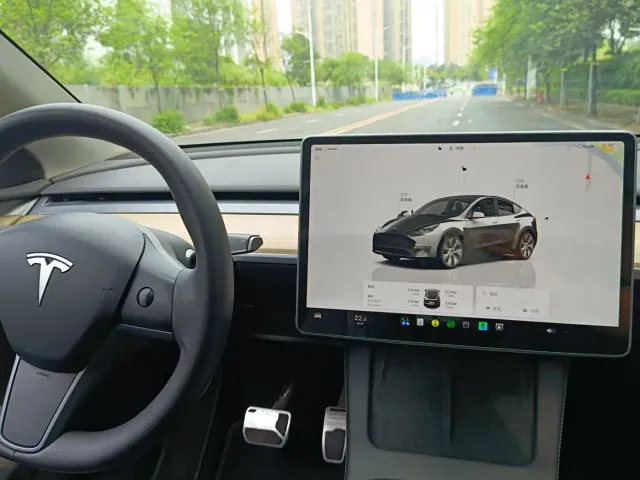 Tesla Model Y — Фото автомобиля 15