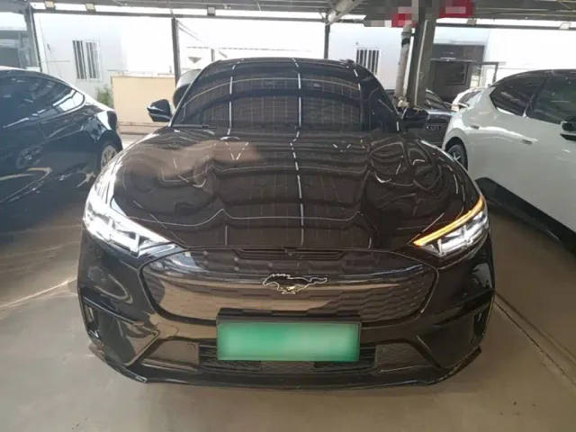 Ford Mustang Mach-E — Фото автомобиля 2
