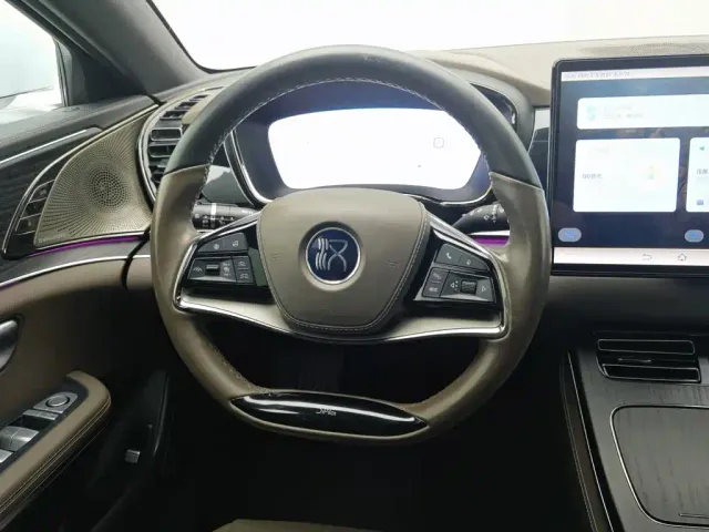BYD Han — Фото автомобиля 11