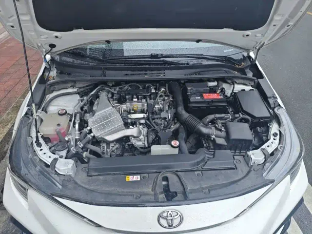 Toyota Levin — Фото автомобиля 16