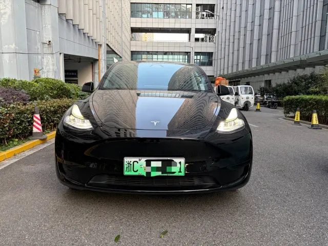 Tesla Model Y — Фото автомобиля 2