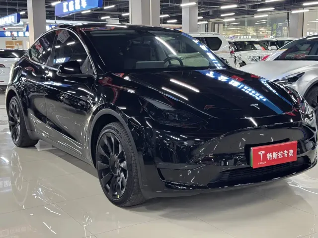 Tesla Model Y — Фото автомобиля 3