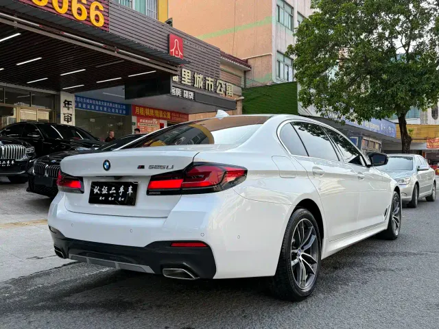 BMW 5 Series — Фото автомобиля 6
