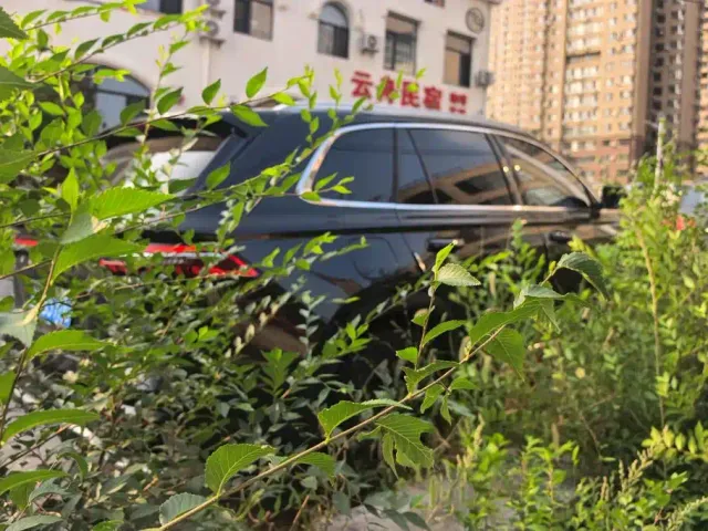 Geely Xingyue L — Фото автомобиля 3