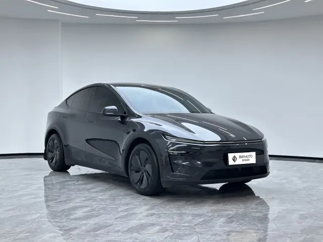 Tesla Model Y — Фото автомобиля 2