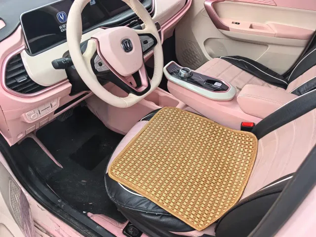 Changan Benben E-Star — Фото автомобиля 13