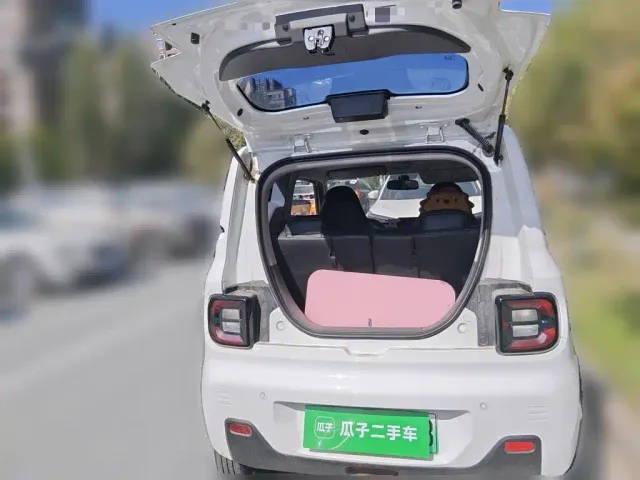 Geely Panda — Фото автомобиля 20