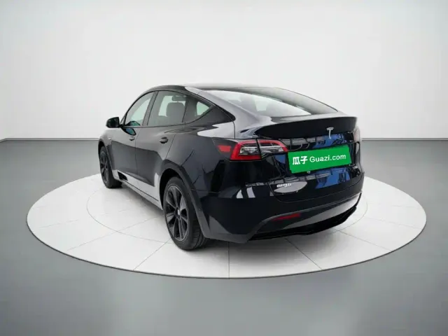 Tesla Model Y — Фото автомобиля 4