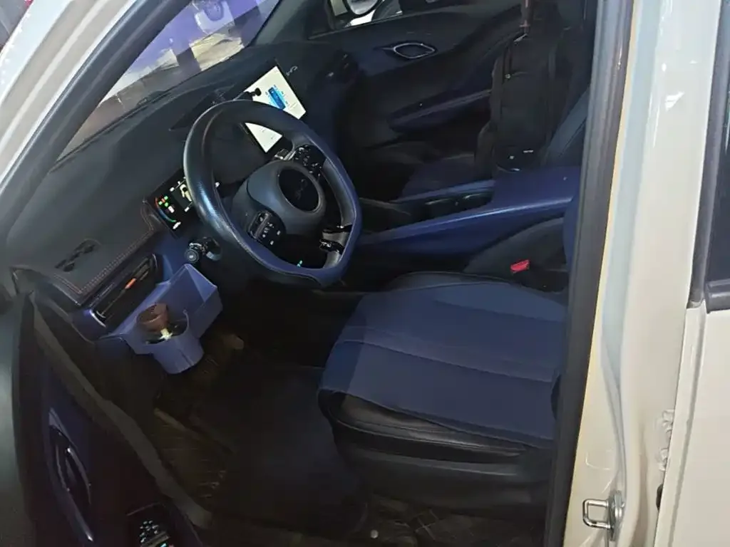 BYD Seagull 2024 Glory Edition 305km Vitality Edition — Фото автомобиля 14
