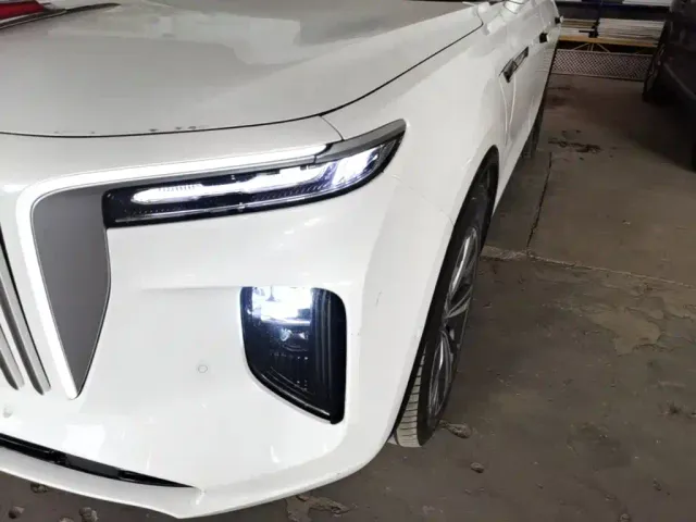 Hongqi E-HS9 — Фото автомобиля 23