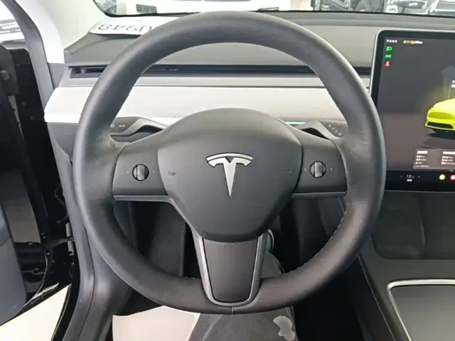 Tesla Model Y — Фото автомобиля 10