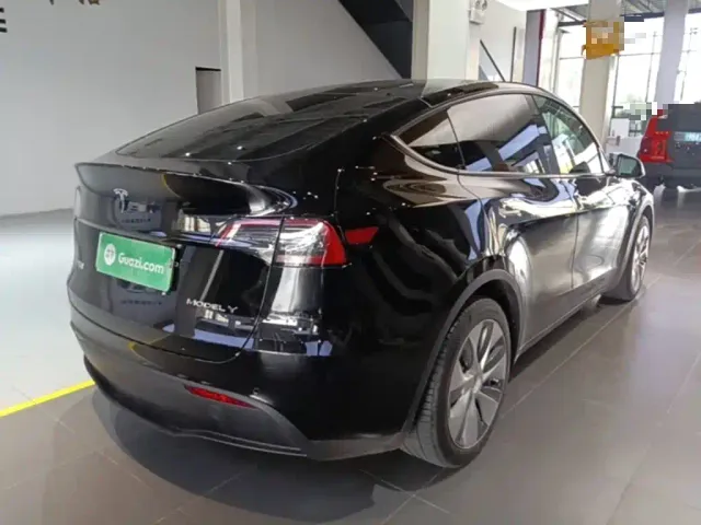 Tesla Model Y — Фото автомобиля 6