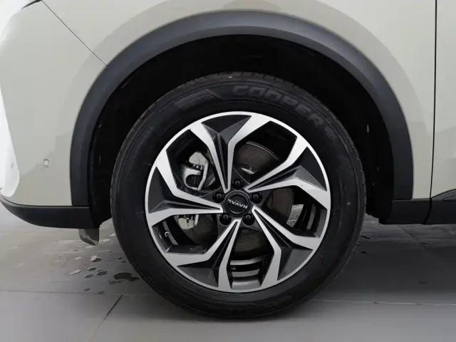 Haval Xiaolong MAX — Фото автомобиля 17