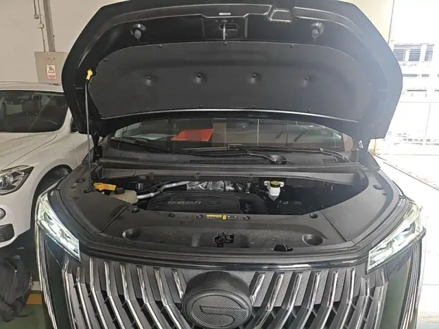 GAC Trumpchi M8 — Фото автомобиля 19