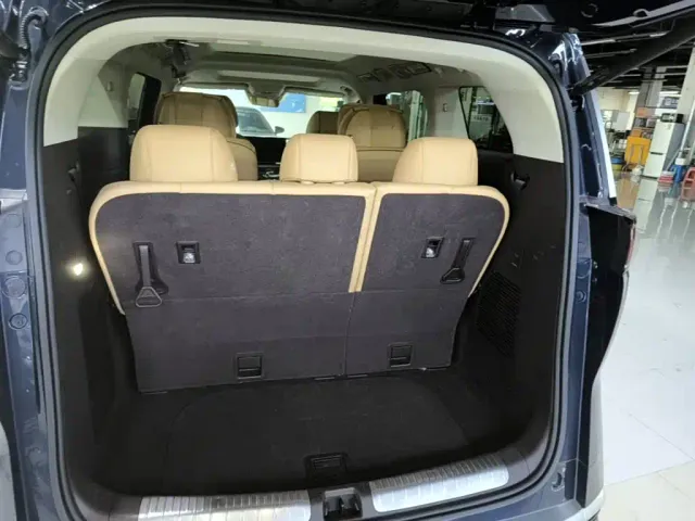 Denza Denza D9 2023 DM-i 965 Premium — Фото автомобиля 18