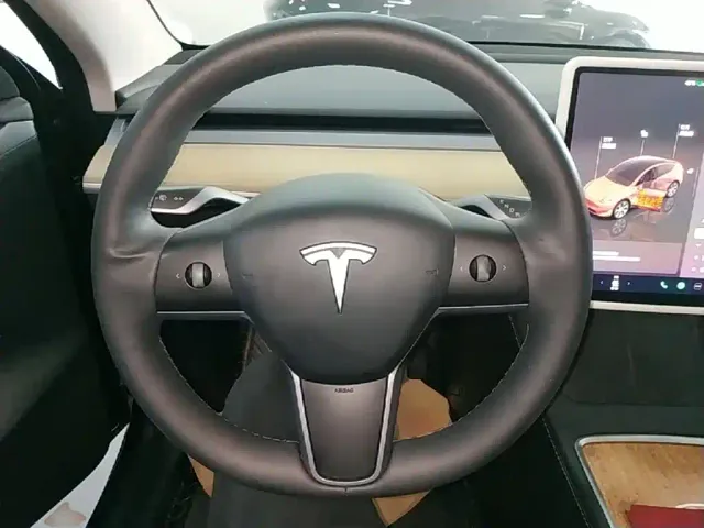 Tesla Model Y — Фото автомобиля 10