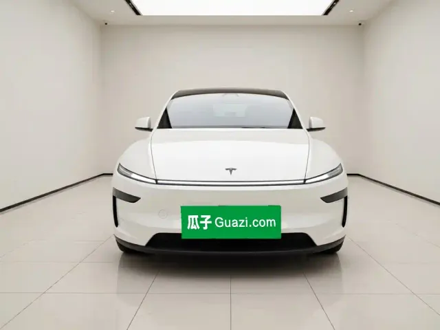Tesla Model Y — Фото автомобиля 2