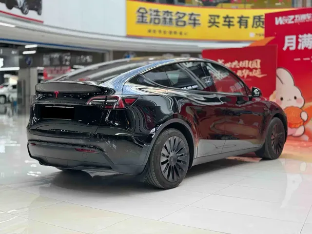 Tesla Model Y — Фото автомобиля 9