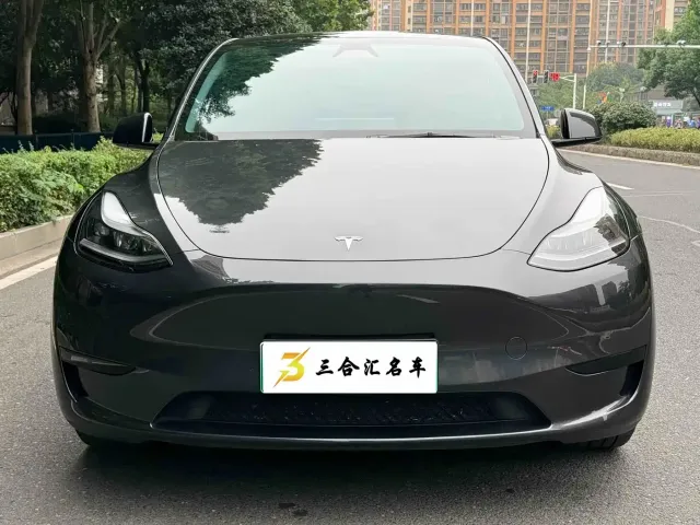 Tesla Model Y — Фото автомобиля 2