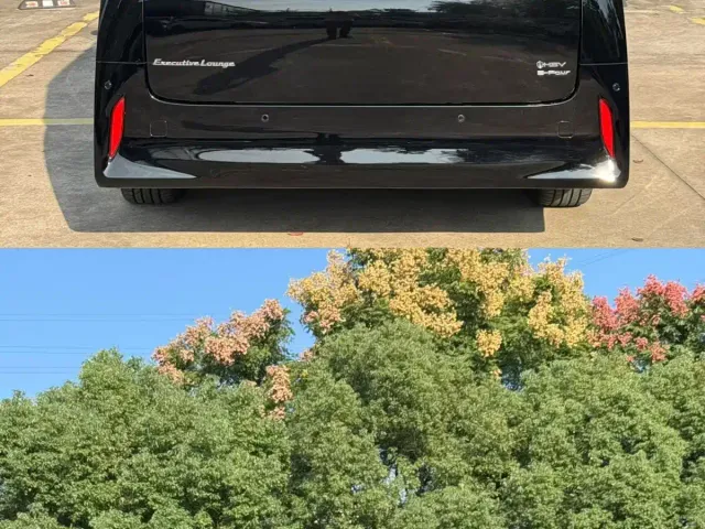 Toyota Alphard — Фото автомобиля 9