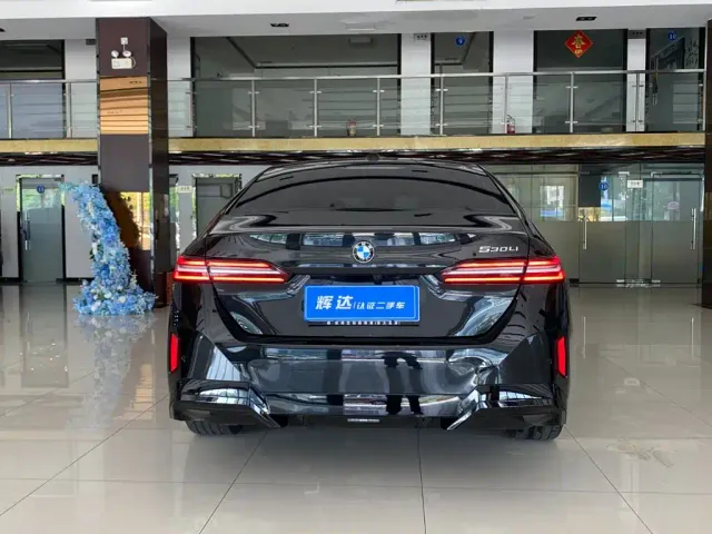 BMW 5 Series — Фото автомобиля 6