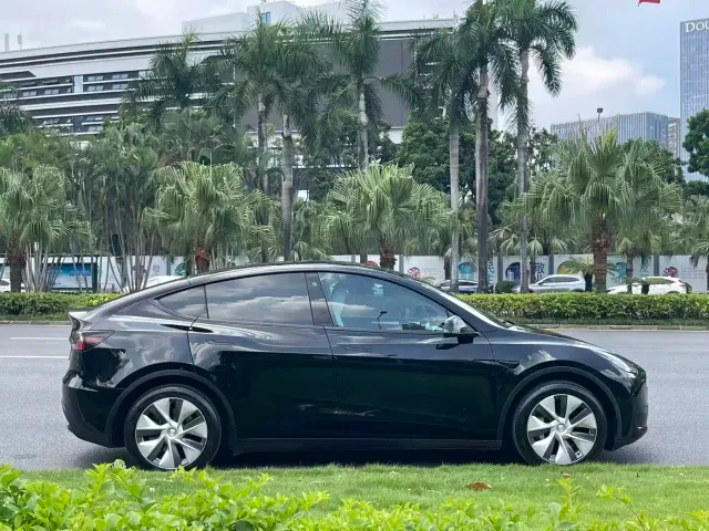 Tesla Model Y — Фото автомобиля 7