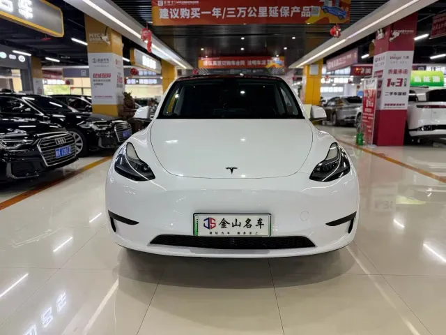 Tesla Model Y — Фото автомобиля 2
