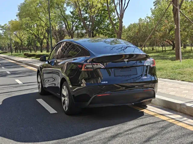 Tesla Model Y — Фото автомобиля 4