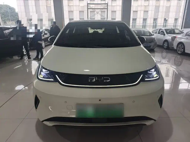 BYD Dolphin — Фото автомобиля 2