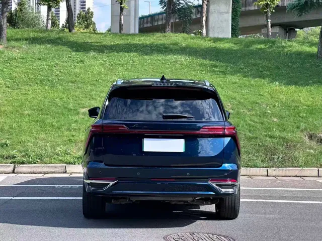 Wey Lanshan — Фото автомобиля 5