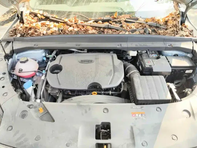 Geely Boyue — Фото автомобиля 3