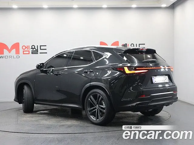 Lexus NX Generation 2 — Фото автомобиля 4