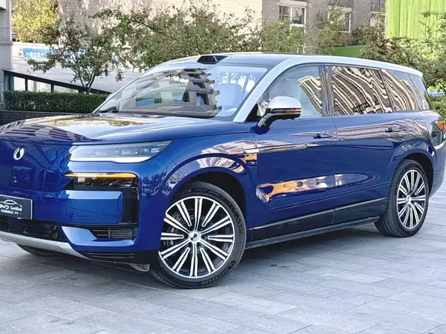 Denza N9 — Фото автомобиля 19
