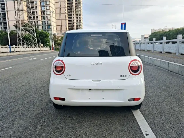 Changan Qiyuan Changan Lumin 2022 210km Sweet Edition — Фото автомобиля 6