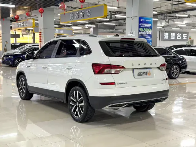 Skoda Kamiq — Фото автомобиля 8