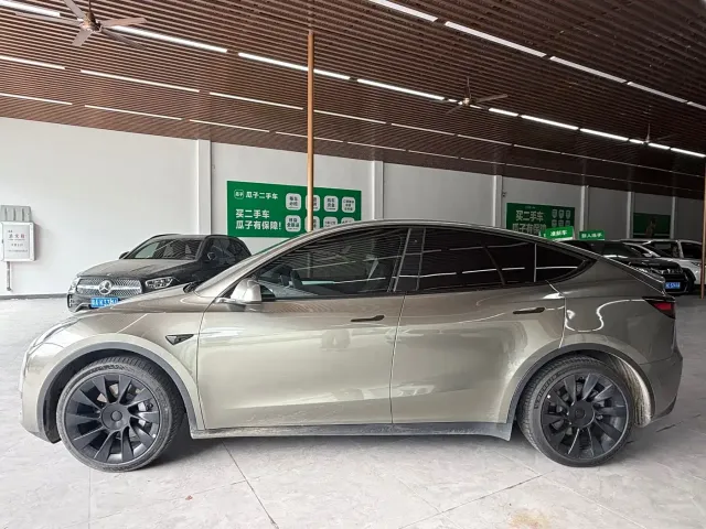 Tesla Model Y — Фото автомобиля 2