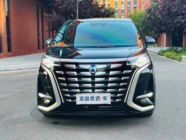 Denza D9 — Фото автомобиля 2