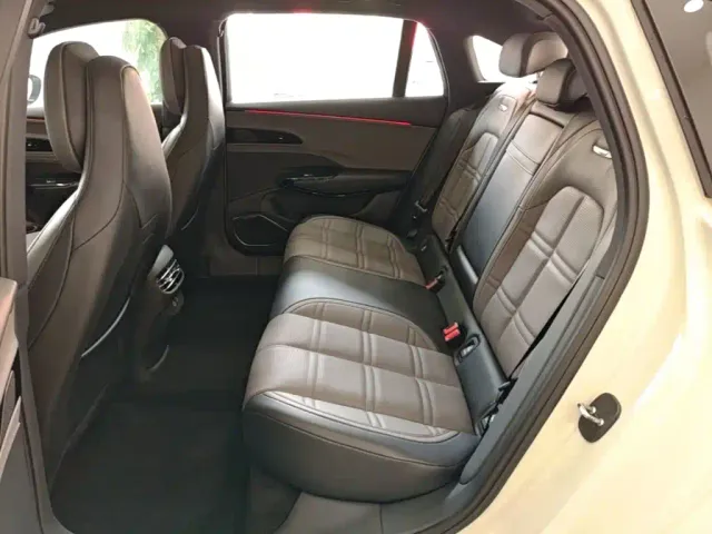 Hongqi EH7 — Фото автомобиля 16