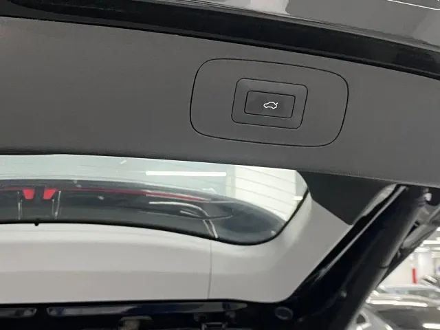Chery Tiggo 8 PLUS — Фото автомобиля 16