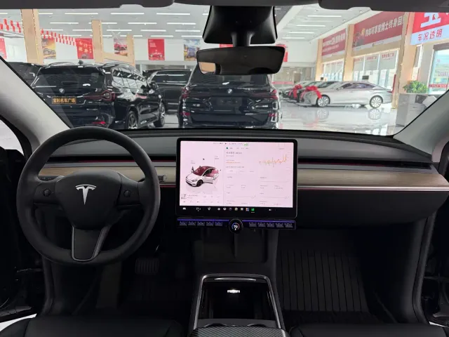 Tesla Model Y — Фото автомобиля 10