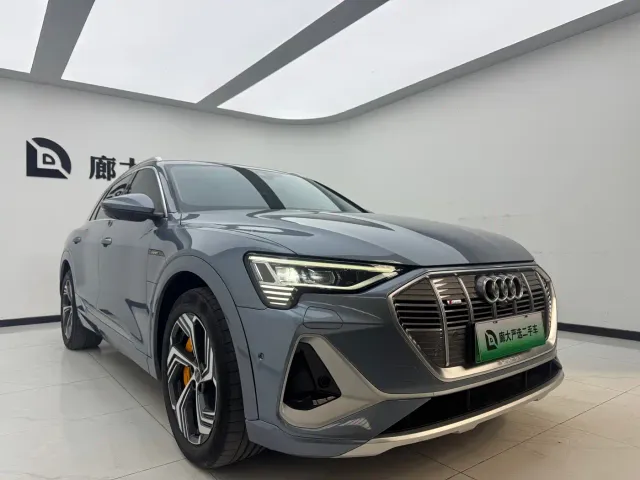 Audi e-tron — Фото автомобиля 3