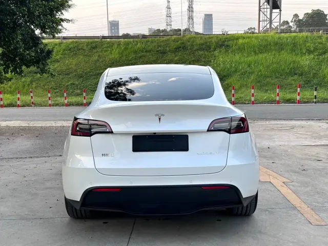 Tesla Model Y — Фото автомобиля 10