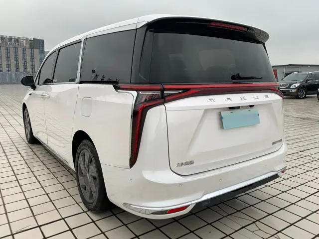 Maxus Dajia 9 — Фото автомобиля 4