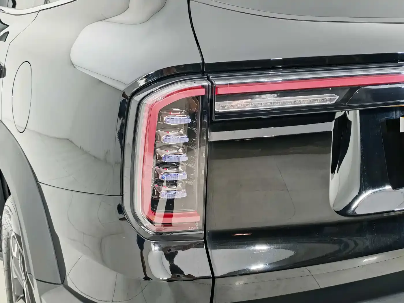 Haval Haval Big Dog 2024 2.0T DCT Chinese Rural Dog Edition — Фото автомобиля 18