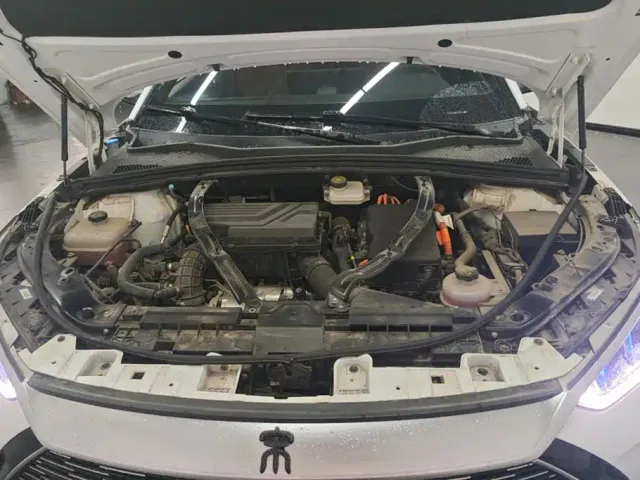 BYD Song PLUS — Фото автомобиля 10