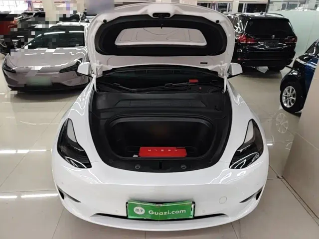 Tesla Model Y — Фото автомобиля 19