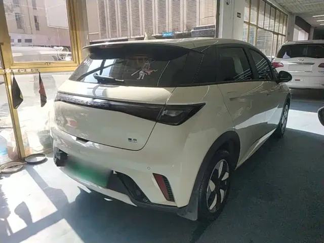 BYD Dolphin — Фото автомобиля 6