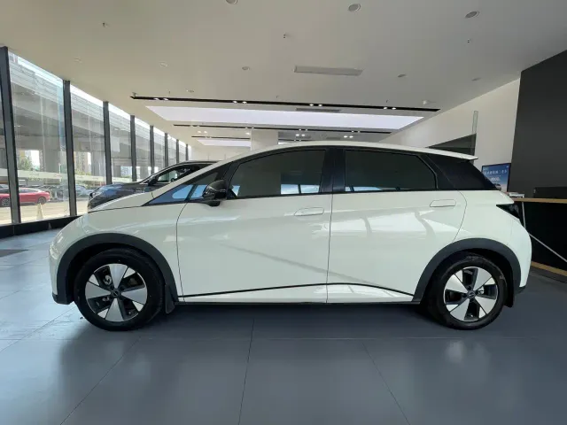 BYD Dolphin — Фото автомобиля 4