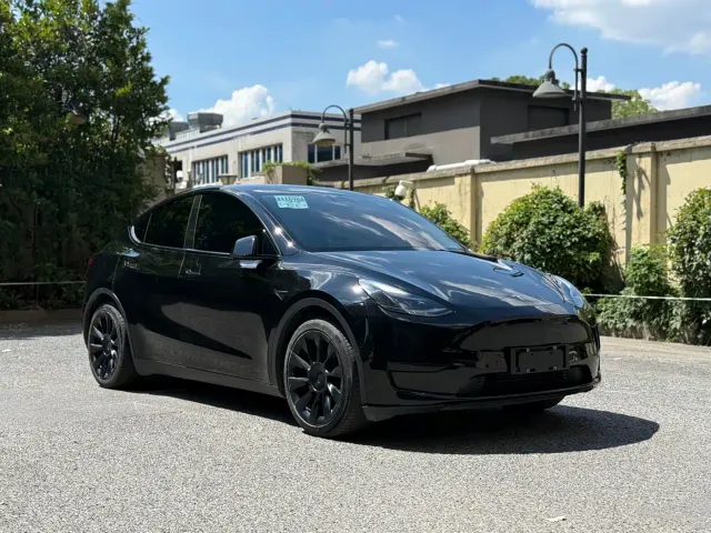 Tesla Model Y — Фото автомобиля 3